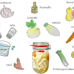 Zutaten für Kimchi: Knoblauch, Fischsoße, Birne/Apfel, Kohlrabi, Rettich, Karotte, Zucker, Salz, Wasser, Chili, Zwiebeln und Frühlingszwiebeln.