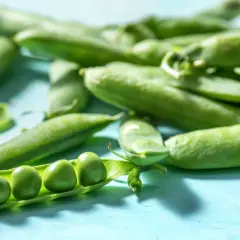 Frische grüne Erbsen in ihren Schoten, die zeigen, was ist Edamame: junge, unreifen Sojabohnen.