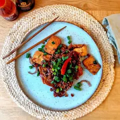 Gebratener Tofu mit Zwiebeln, Frühlingszwiebeln und Chili in einer dunklen Soße. So lecker ist, was ist Tofu!