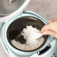 Eine Hand schöpft mit einem Reislöffel frisch gekochten Reis aus einem hellblauen Reiskocher. Ein Hauch von Salz macht den Reis perfekt.