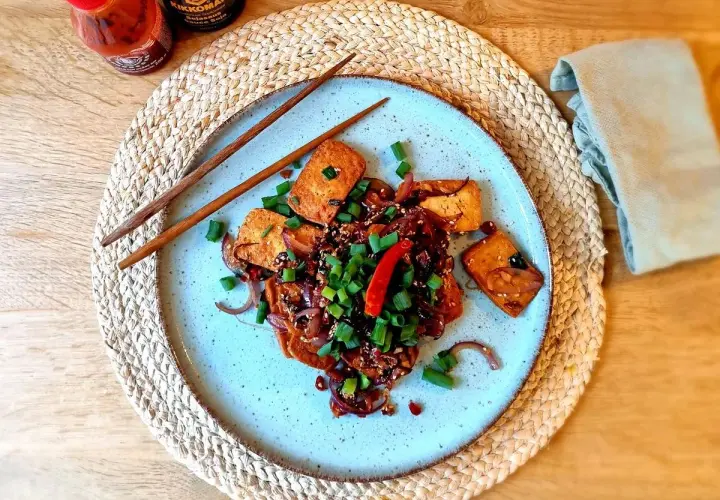Gebratener Tofu mit Zwiebeln, Frühlingszwiebeln und Chili in einer dunklen Soße. So lecker ist, was ist Tofu!
