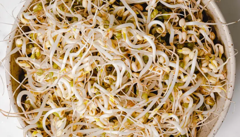 Eine Schüssel voller frischer mungobohnen keimlinge, bereit für gesunde Gerichte.