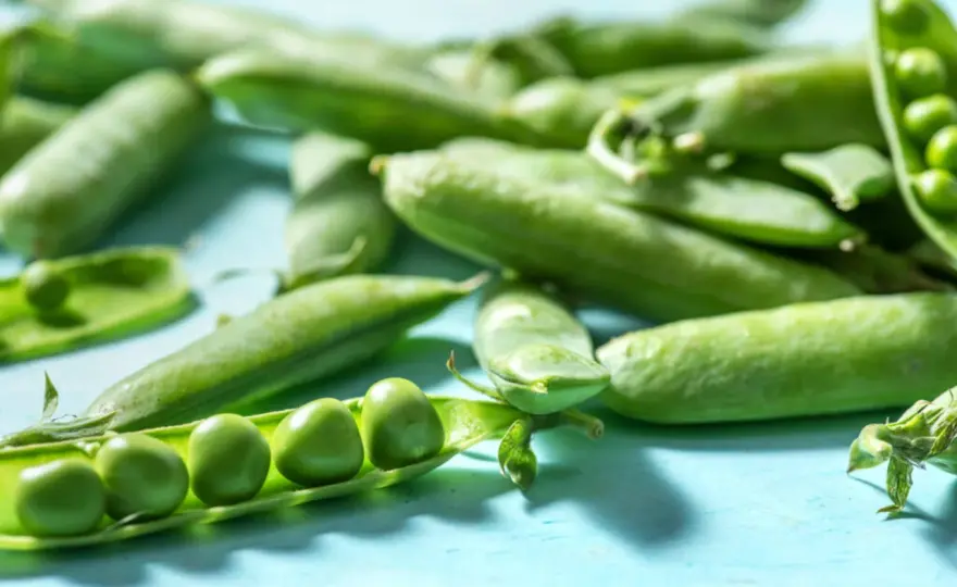 Edamame richtig zubereiten und vielseitig genießen