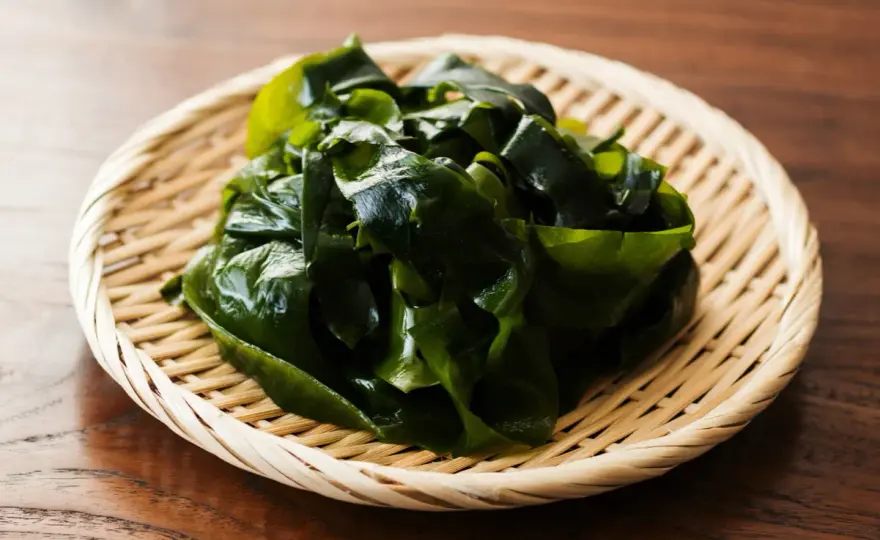 Ist Seetang gesund? Nori, Wakame und Kombu richtig verwenden