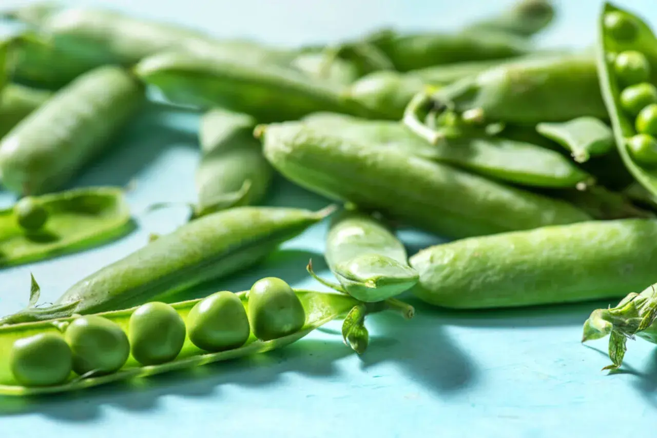 Frische grüne Erbsen in ihren Schoten, die zeigen, was ist Edamame: junge, unreifen Sojabohnen.
