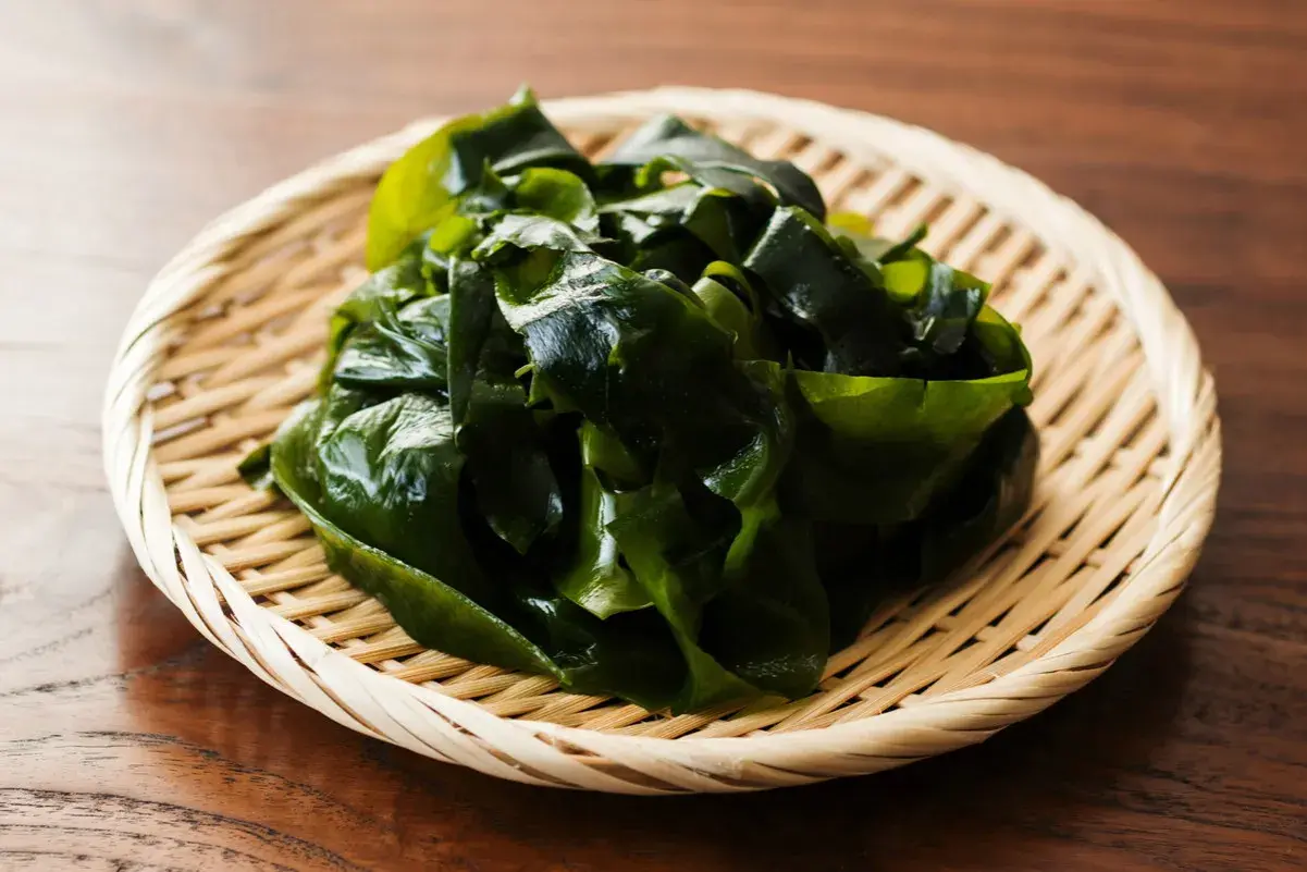 Ein Haufen glänzender, dunkelgrüner Seetang liegt auf einem geflochtenen Korbe. Dieser seetang gesund ist eine köstliche und nahrhafte Ergänzung für jede Mahlzeit.