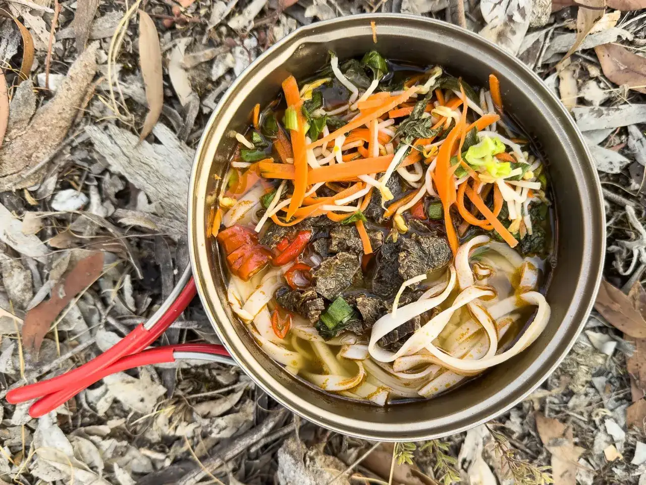 Herzhaftes Pho Kho mit Rindfleisch, Reisnudeln, Karottenstreifen und Sojasprossen in einem Topf, bereit zum Genie&szlig;en im Freien.